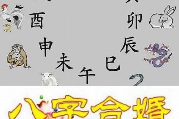 婚配八字是哪八字