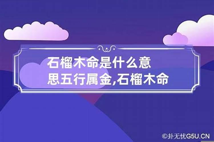 甲子纳音石榴木怎么理解