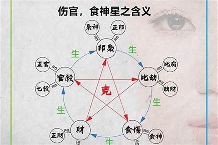 怎么判断八字有无食伤