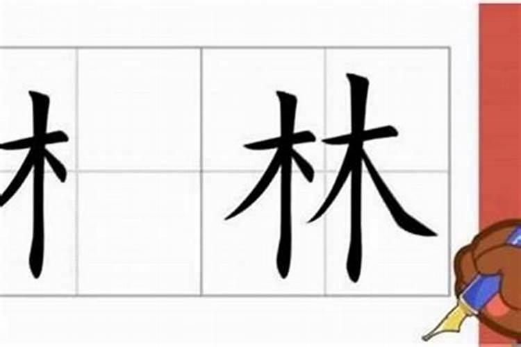 木字旁是什么意思?