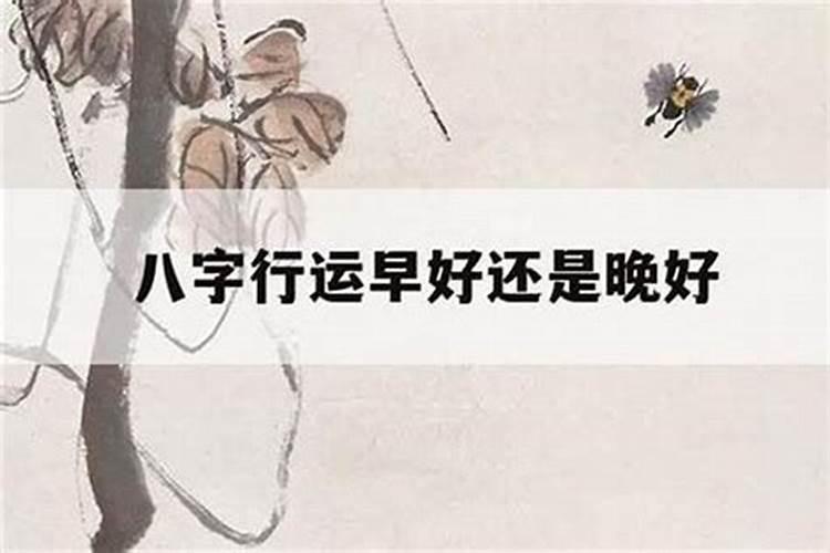 算命人九是什么意思