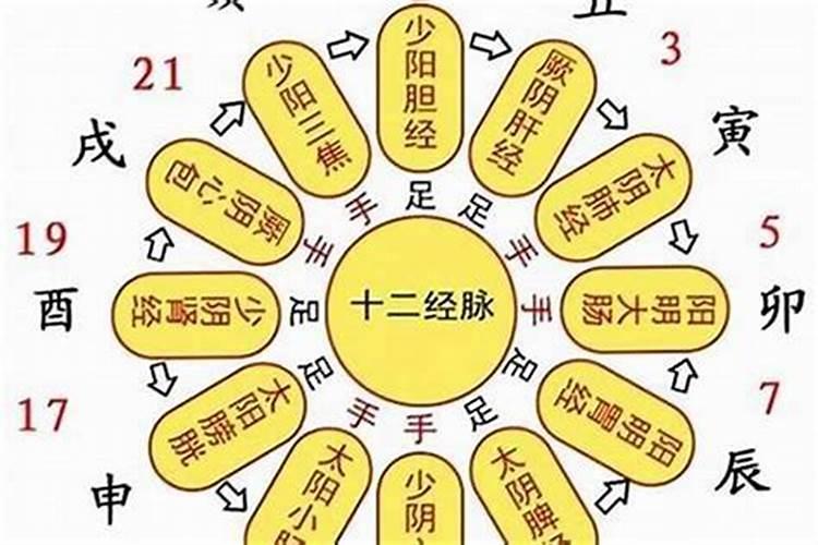 命里带七煞是什么意思