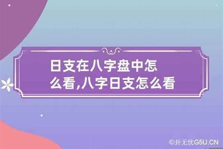 八字里日支是什么