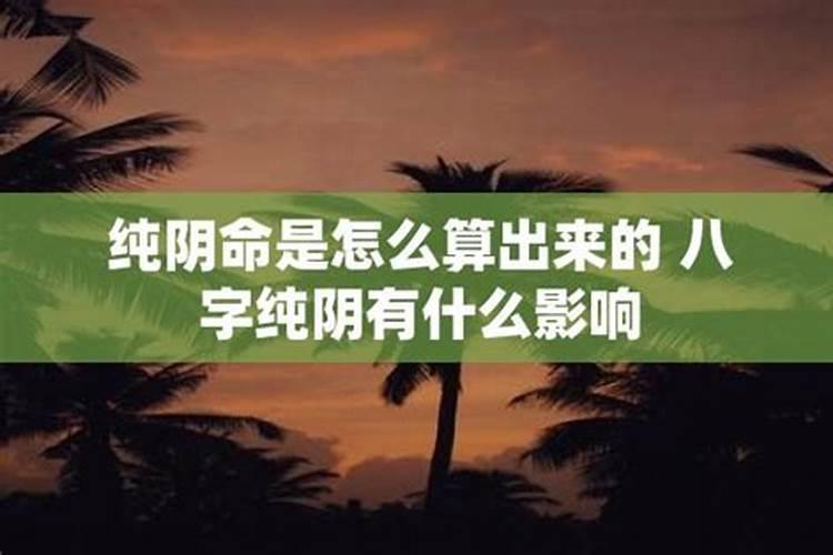 什么叫纯阴命