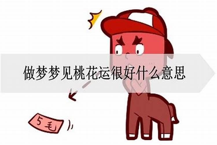 做梦犯桃花运是什么意思