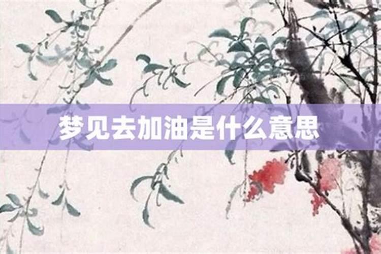 属牛今天财运方向是哪方