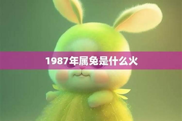 1987年属兔的