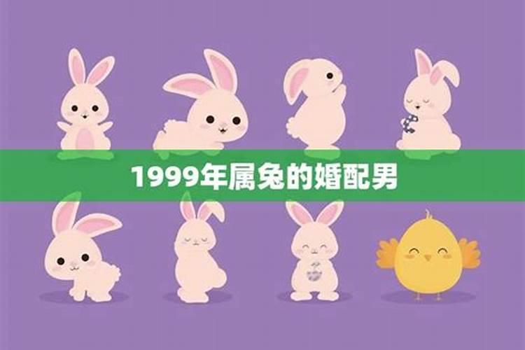 1999年属兔的今年多大了啊