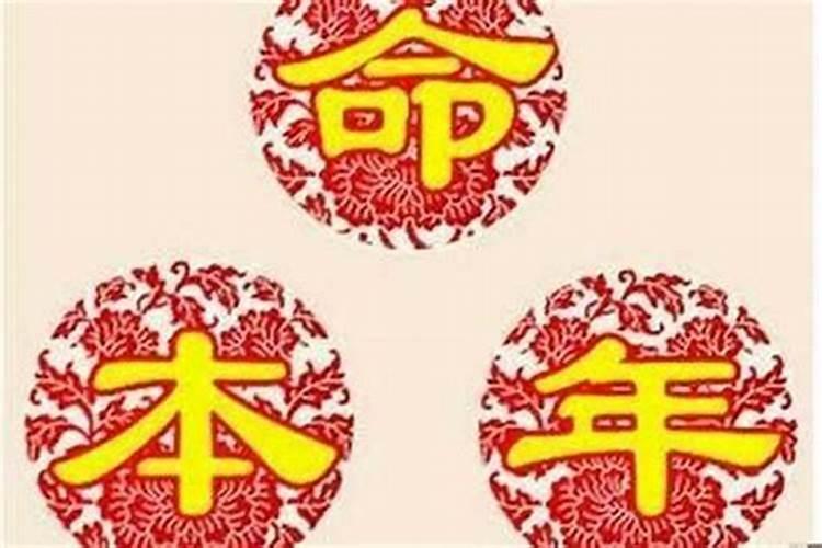 吉祥彩蝶指什么生肖动物