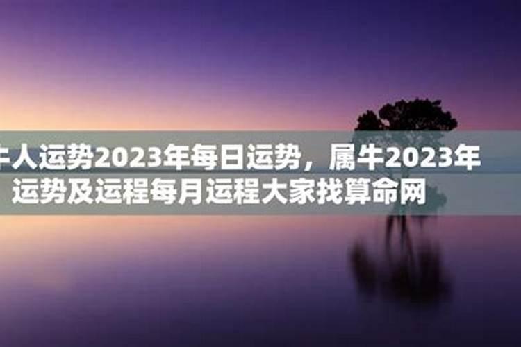 1985属牛人2023年运势运程每月运程