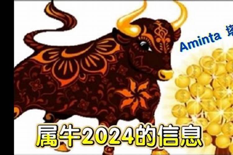 属牛的2024年多大