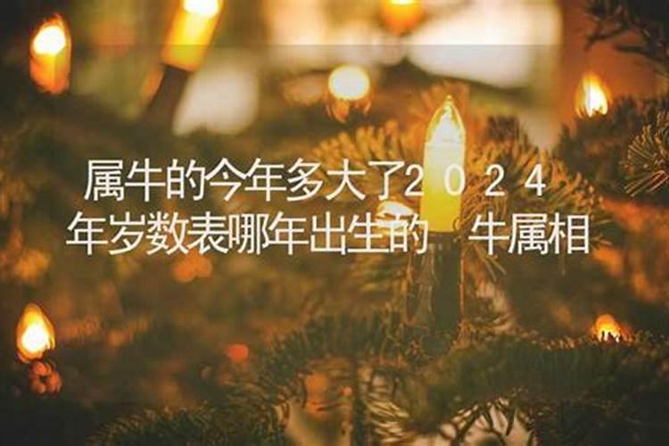 属牛的2024年多大年龄