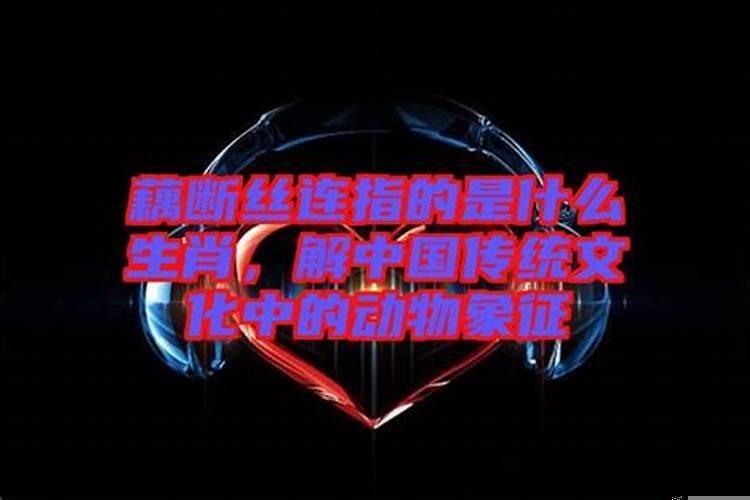 藕断丝连是指什么生肖打一肖