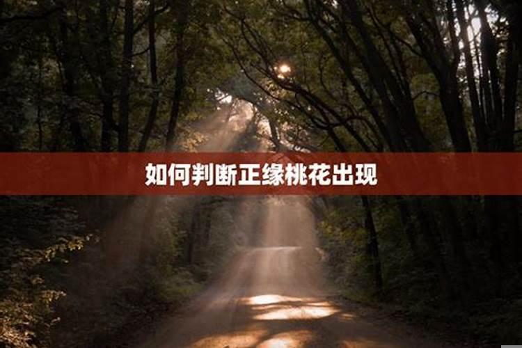 如何判断正缘桃花