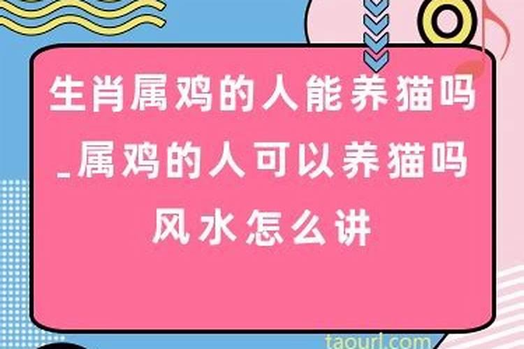 属鸡的人能养狗吗