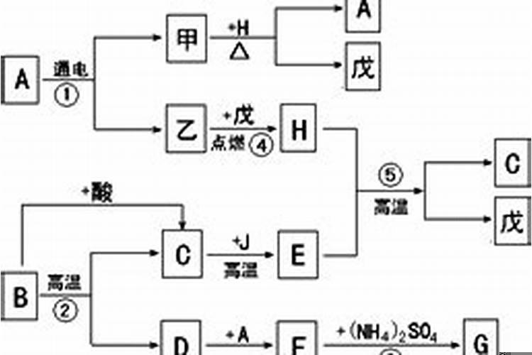 五行属甲木的人