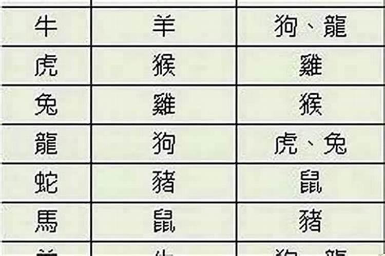 生肖配对可不可信