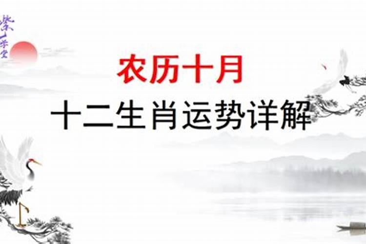 山头火跟涧下水合不合