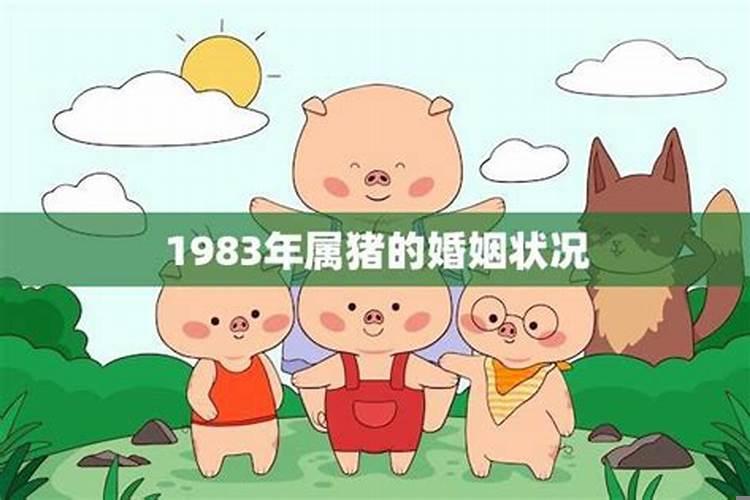 1983年属猪人的婚姻状况