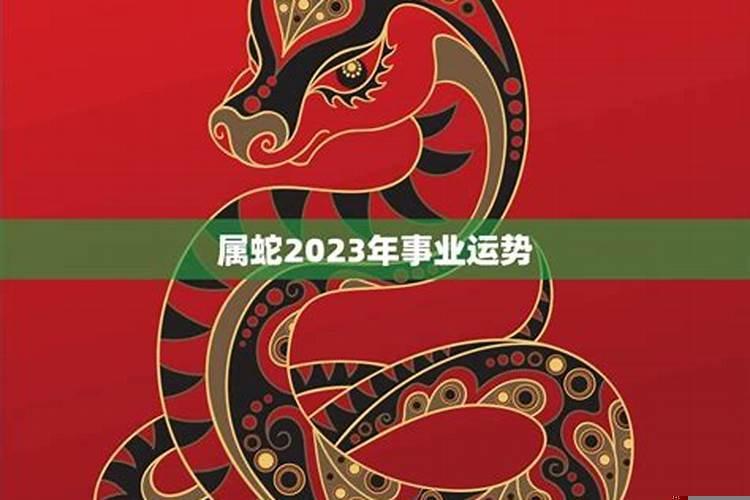 属蛇2023年运势如何