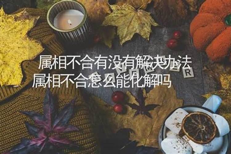 属相不合有没有解决办法