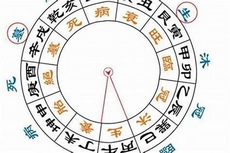 八字排盘病死墓绝胎养