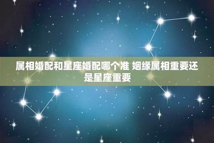 找对象属相重要还是星座重要