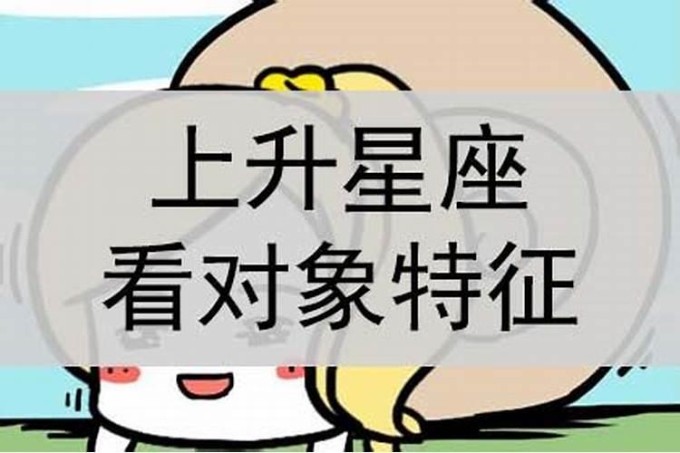 找对象属相重要还是星座重要