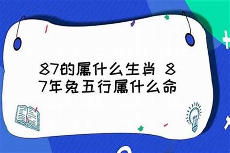 属兔五行属什么