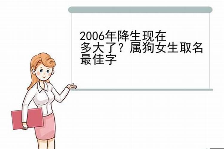 属狗2006年出生是什么命运女