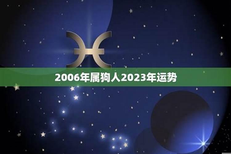 2006年属狗的人命运如何