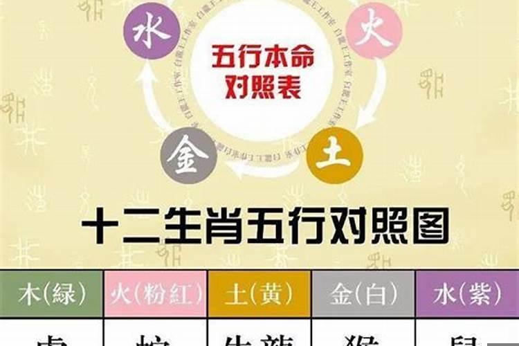 如何看自己五行属什么?