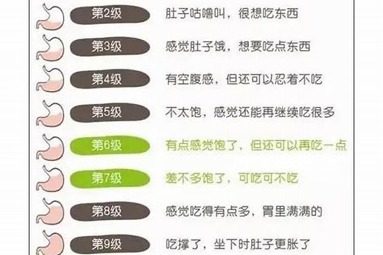 怎么吃到八分饱