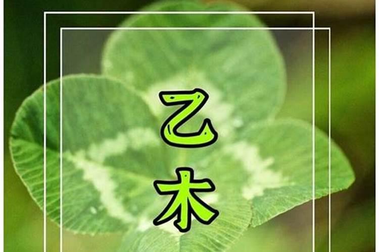 天干乙木是什么意思