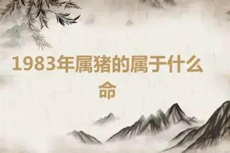 1983年属猪的是什么命运如何