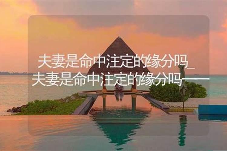 夫妻缘分深浅