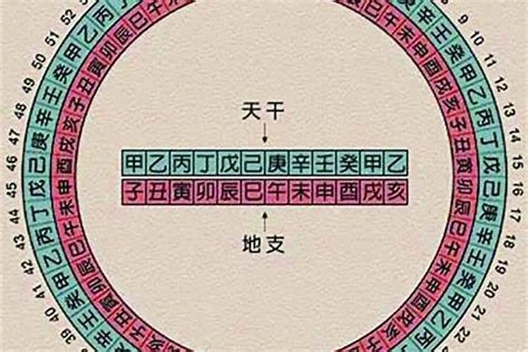 八字大运是看天干还是地支