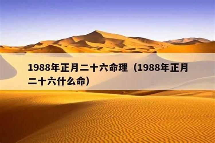 1988年正月二十三是什么命运呢