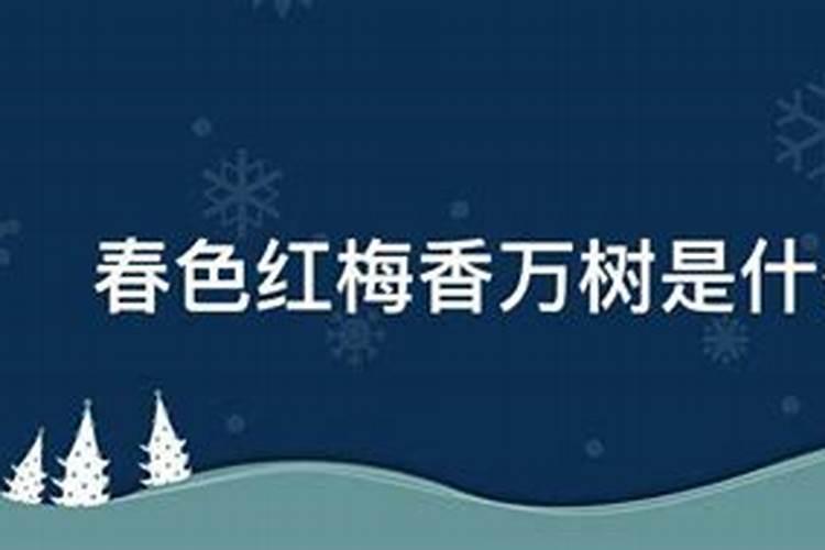 雪中梅花自带红代表什么生肖