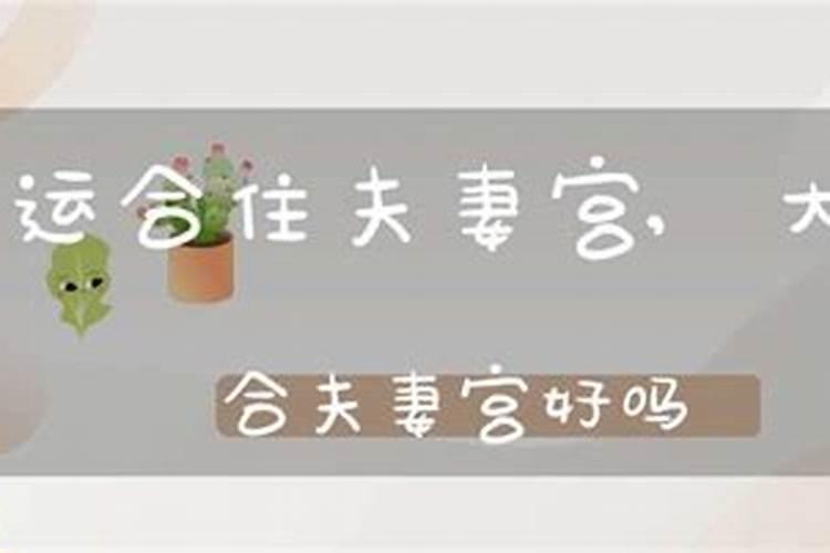 八字大运合夫妻宫