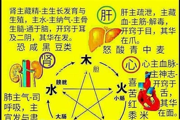 苗的意思和五行属什么有关