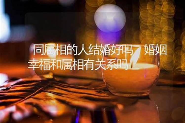 如果两个人属相不合怎么办