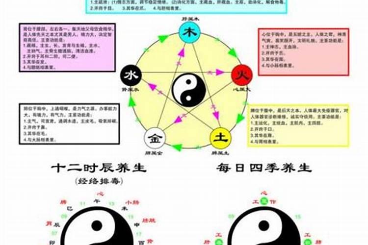 鹏的属性五行属性