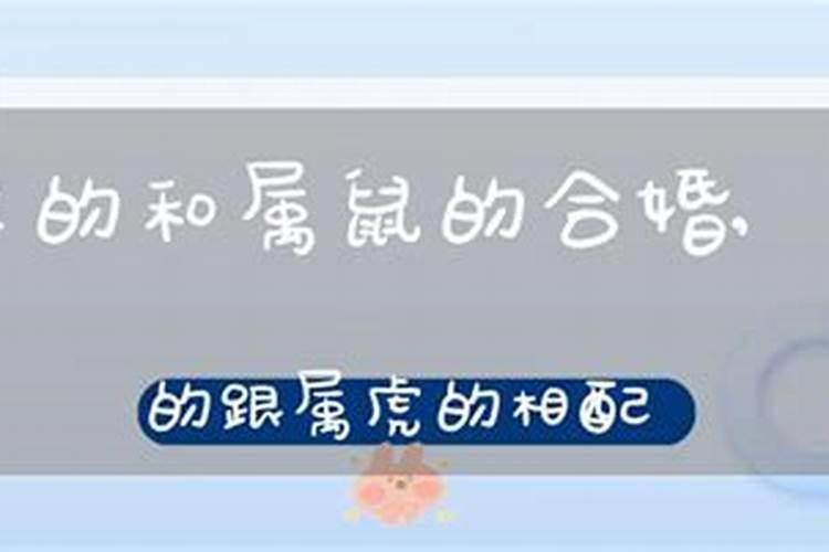 属羊的今年9月份运势2023年