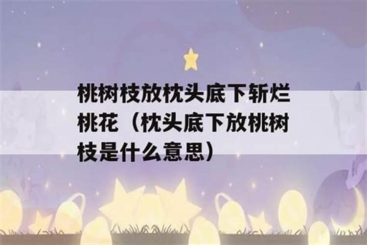 欲钱买巧言善辩的动物是什么生肖