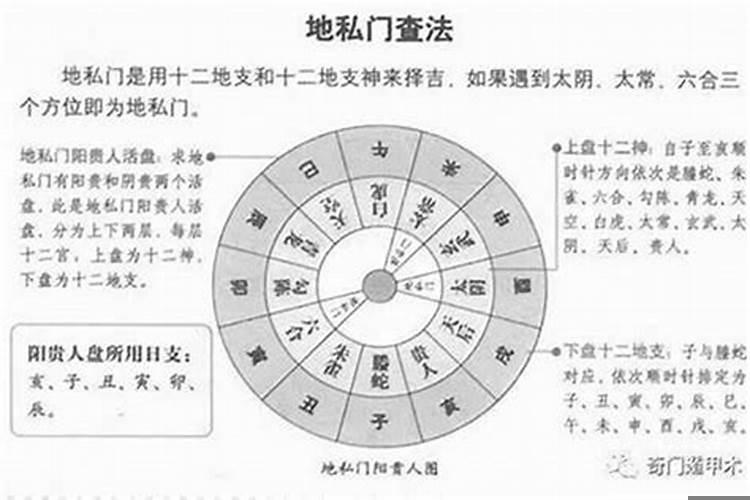 阴贵神和阳贵神