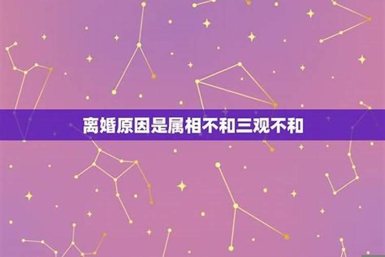 和老公属相不合怎么办