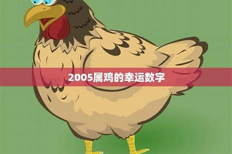 2005属鸡的和什么属相最配、相克