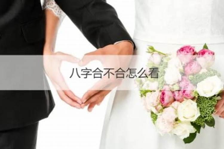 八字怎么看婚姻合不合