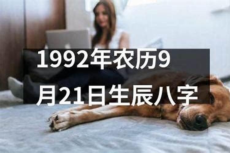 1992年9月21日五行